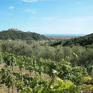 La Sarticola Alloggio per agriturismo Luni